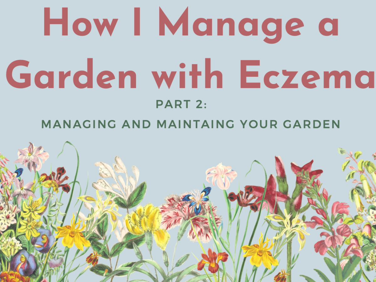 How to Make and Manage a Garden with Eczema (Part&nbsp;2)